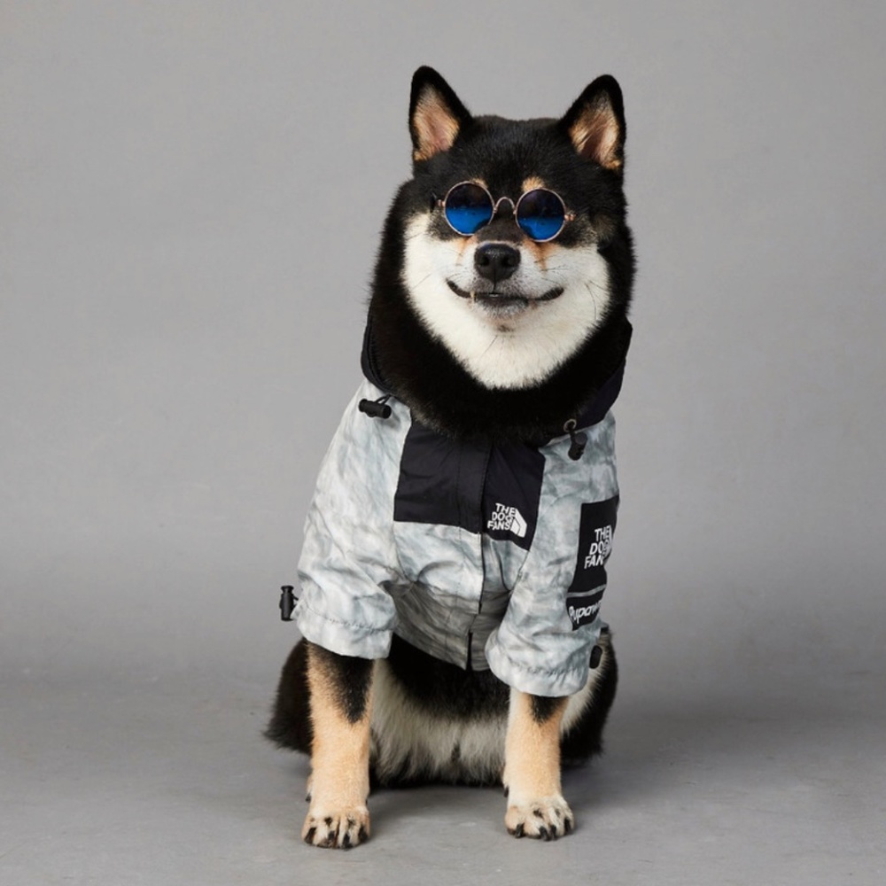 Fall dog jacket